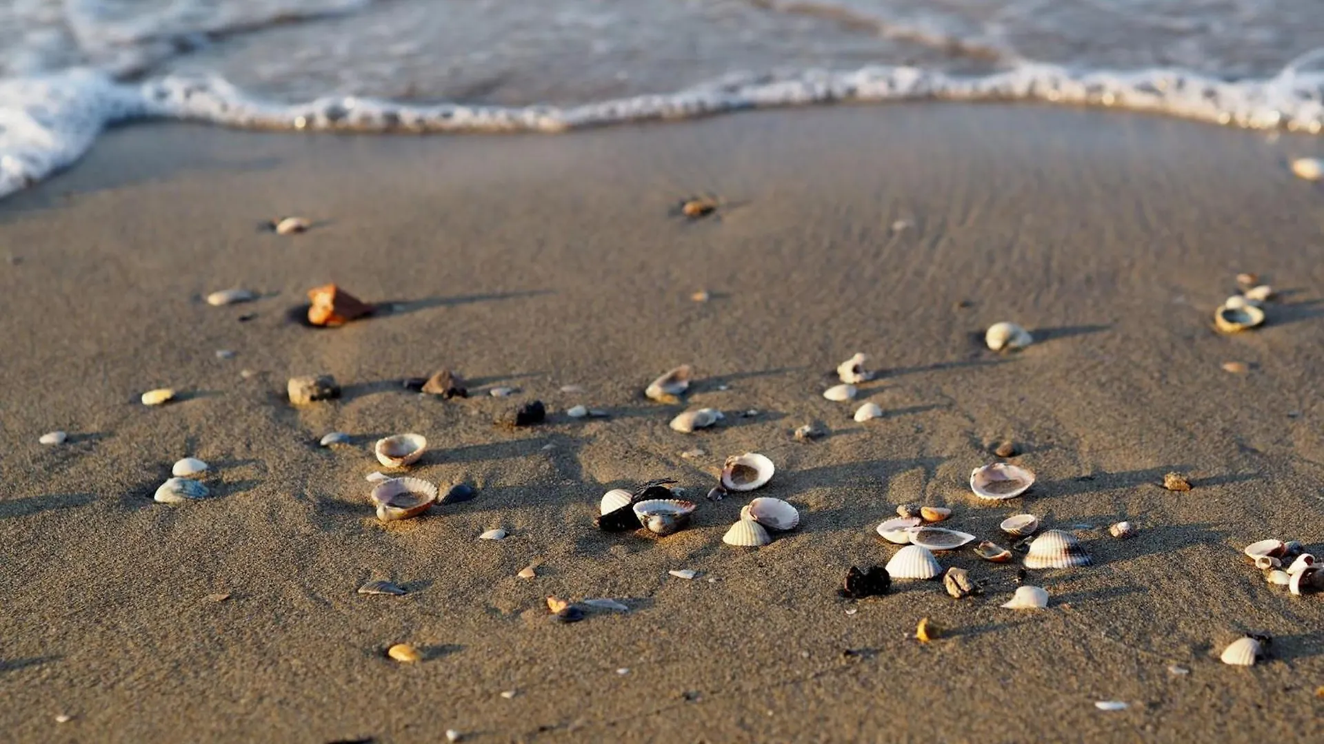 Charming Apartment Near The Beach Bibione